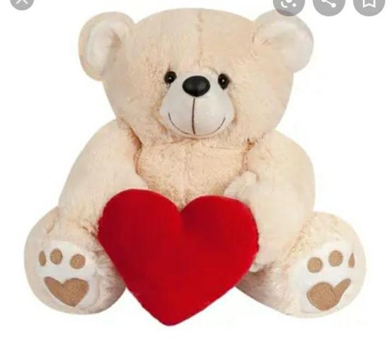 Urso meu coração 