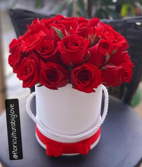 Box de luxo pequeno 